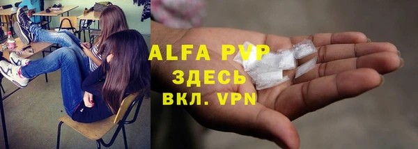 бошки Гатчина