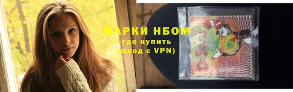хмурый Алзамай
