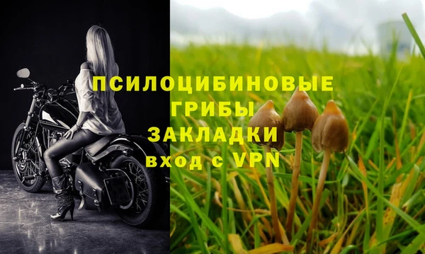 хмурый Алзамай