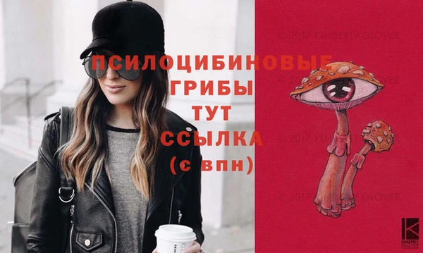 бошки Алексин