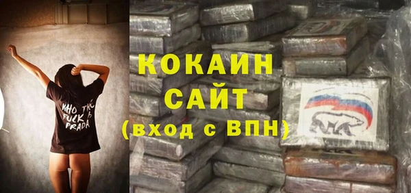 бошки Алексин
