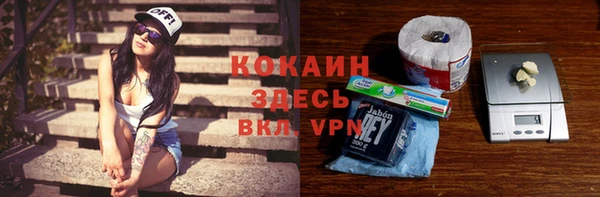 хмурый Алзамай