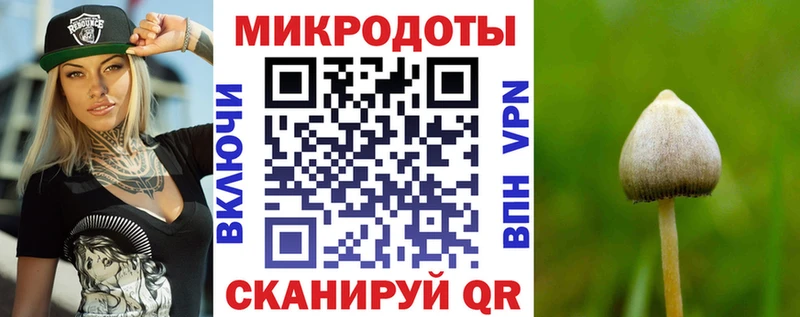 где купить наркоту  Геленджик  Псилоцибиновые грибы мухоморы 