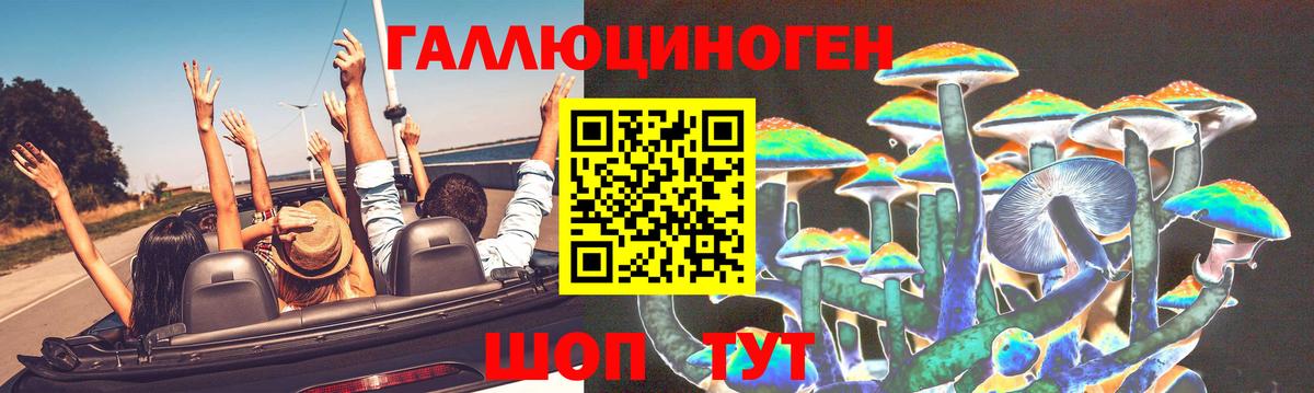 Псилоцибиновые грибы Psilocybe Геленджик